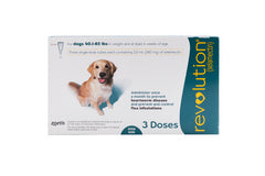 REVOLUTION 240MG GREEN 3AMP FOR DOG