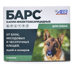 BARS DOG 4 AMP